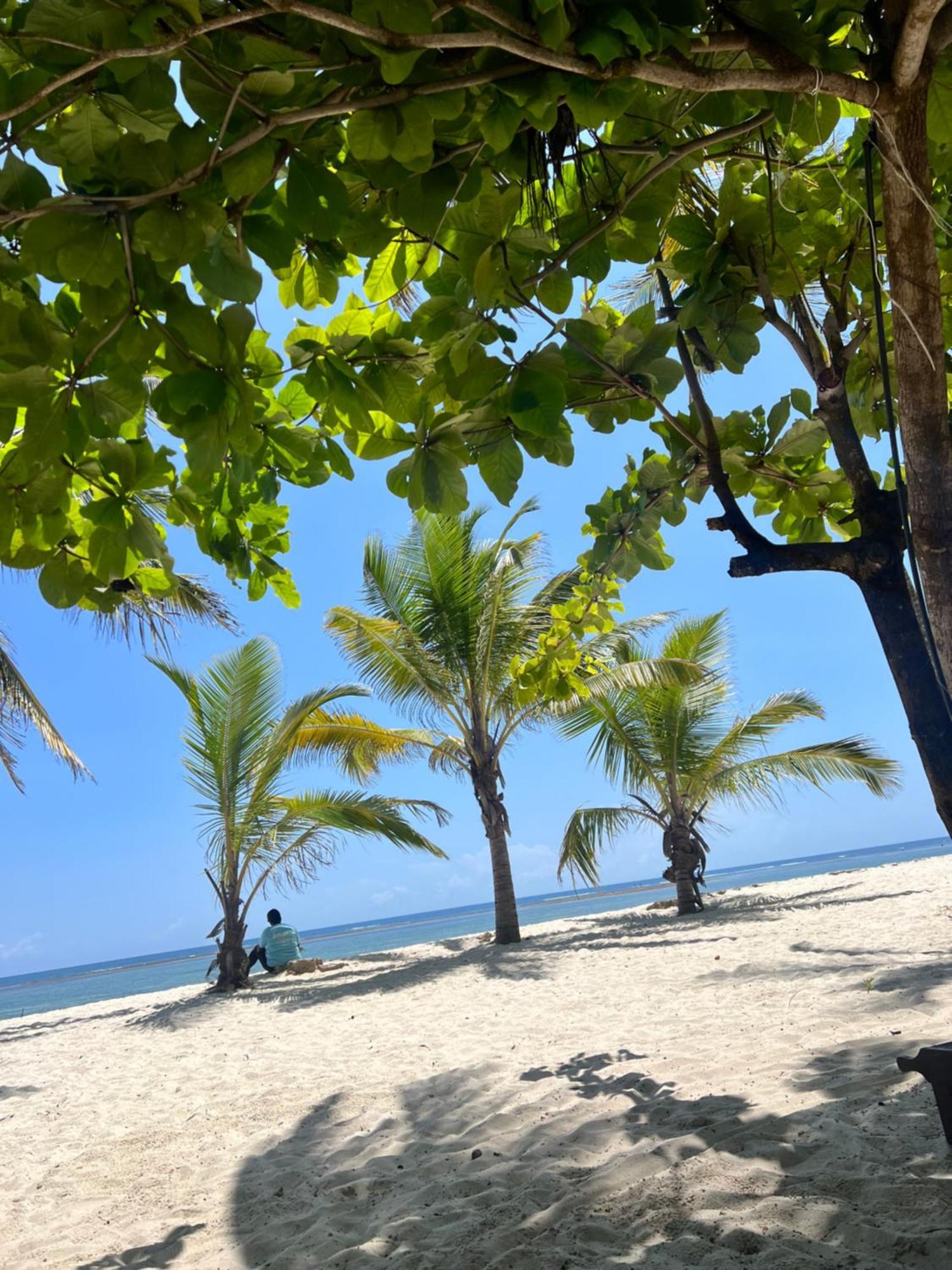 Waves And Wanderlust-Diani Beach Εξωτερικό φωτογραφία