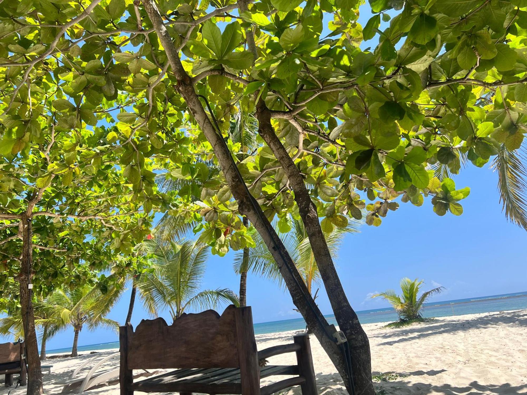 Waves And Wanderlust-Diani Beach Εξωτερικό φωτογραφία